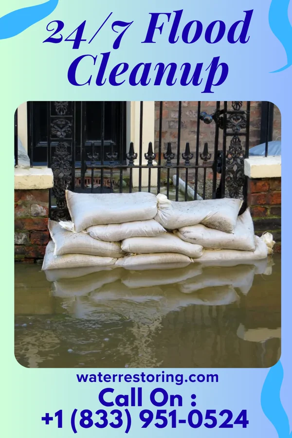24/7 Flood Cleanup in Sallis, MS