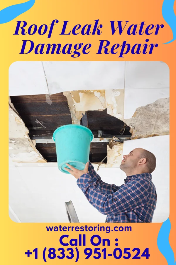 Roof Leak Water Damage Repair in Sallis, MS