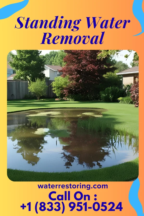 Standing Water Removal in Sallis, MS